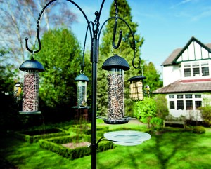 Bird Feeder