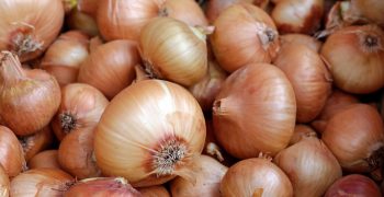 Onion sets and garlic